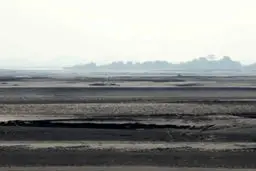 مردی که به تنهایی یک جنگل ساخته است!