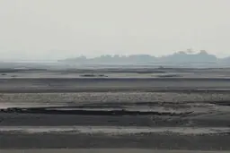 مردی که به تنهایی یک جنگل ساخته است!