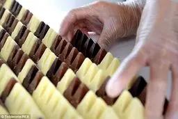 هدیه ویژه شکلاتی برای شاهزاده ویلیامز + تصاویر