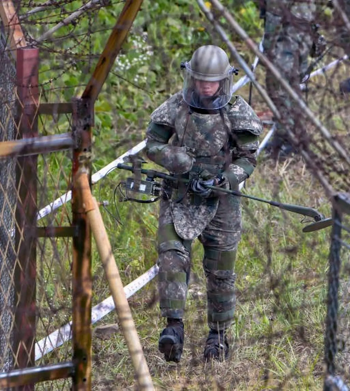 جمع‌آوری ۸۰۰ هزار مین‌ در مرز دو کره / تصاویر