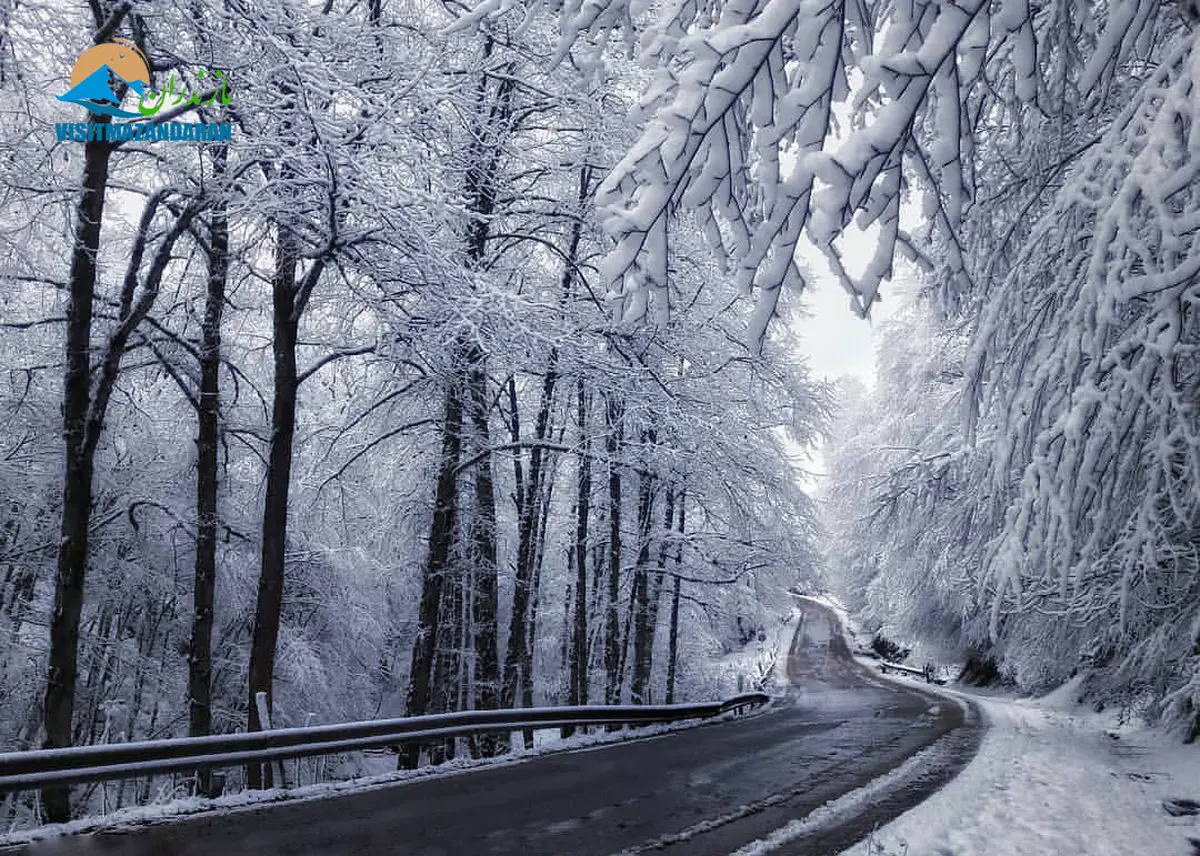 عکس / طبیعت زیبای جاده عباس آباد-کلاردشت در هوای برفی