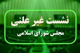 امیر موسوی و عراقچی در جلسه غیرعلنی مجلس + عکس