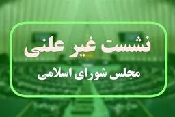 امیر موسوی و عراقچی در جلسه غیرعلنی مجلس + عکس