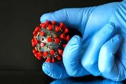 خبر بد/ کووید 20 از راه رسید! + جزئیات