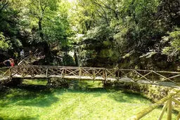 دره پروانه ها در یونان (+عکس)