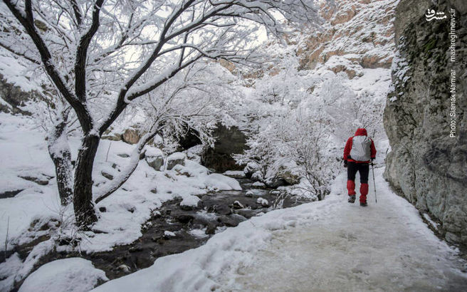 تصاویری دیدنی از کوهنوردان در ارتفاعات سفیدپوش تهران/ تصاویر