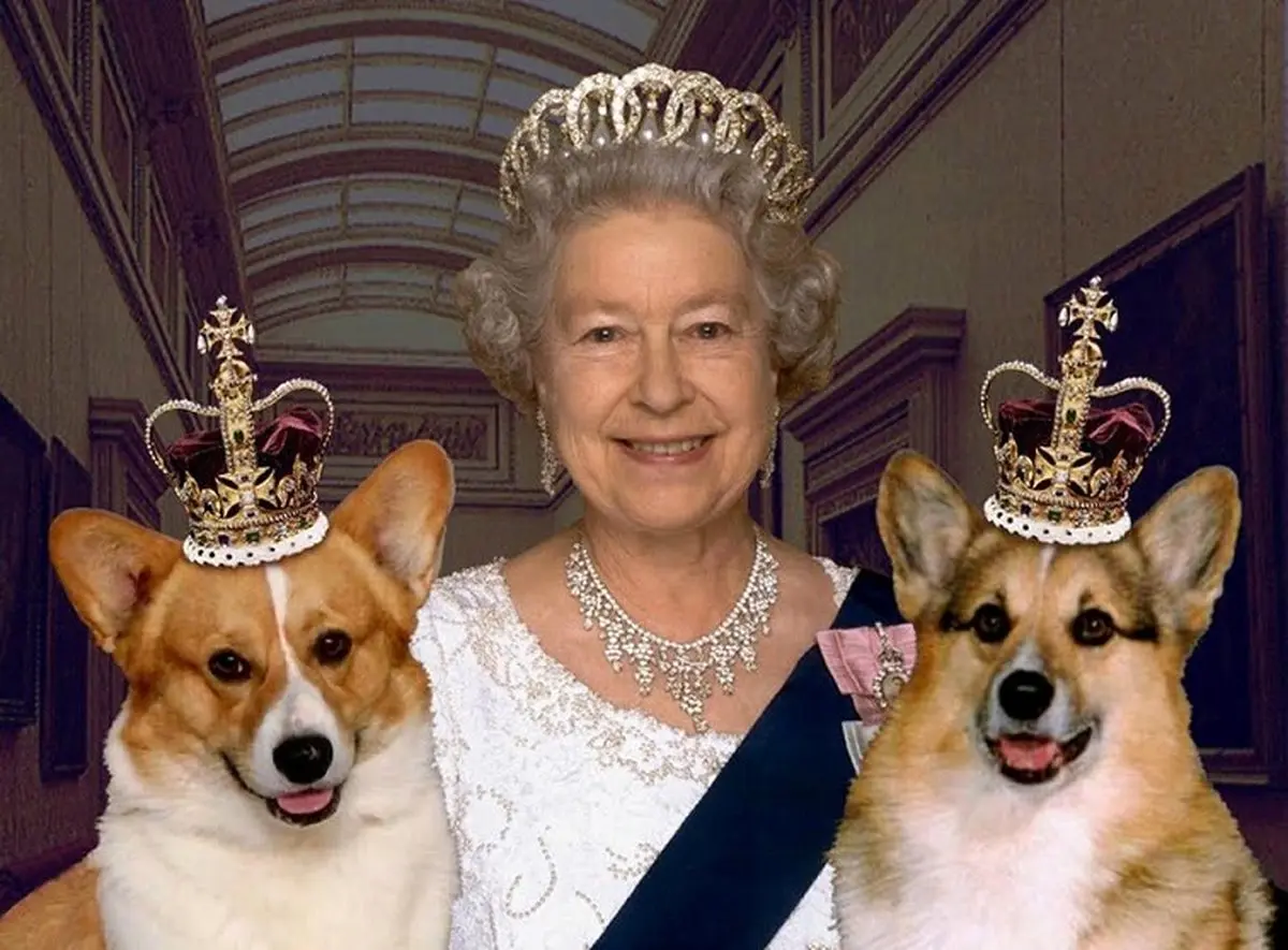 ملکه انگلیس همراه با سگ خانگی اش قرنطینه شد