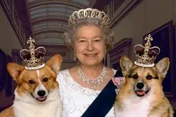 ملکه انگلیس همراه با سگ خانگی اش قرنطینه شد