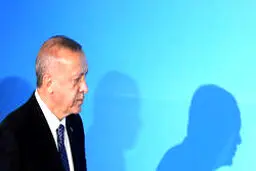 اردوغان خطاب به ماکرون: مرگ مغزی خودت را چک کن!