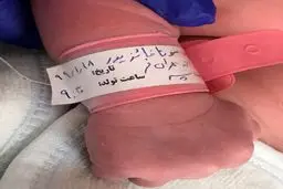 ارسطو هم بچه دار شد! + عکس