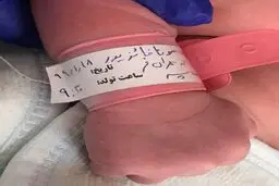 ارسطو هم بچه دار شد! + عکس