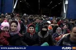 یک سال با پناهجویان/ تصاویر