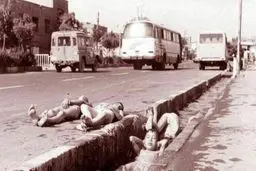 تصویری قدیمی از شنا کردن در جوی های تهران