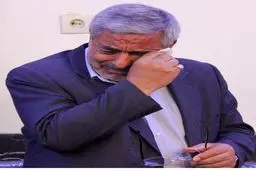 گریه استاندار /عکس