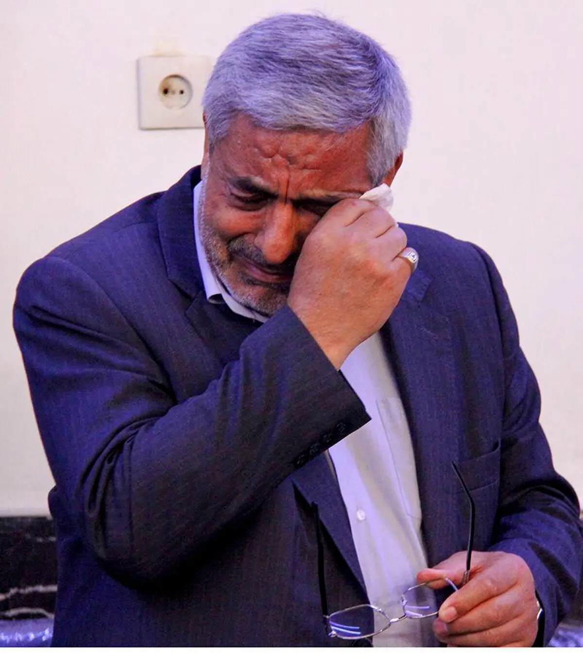 گریه استاندار /عکس