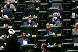 مخالفت مجلس با حذف ماده مربوط به تعریف رجال مذهبی و سیاسی/ نماینده پیشنهاد دهنده: اینکه برخی می‌گویند ولایت فقیه را قبول داریم از سر ناچاری است!