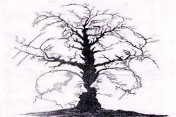 با این تست ضریب هوشی خود را به دست آورید