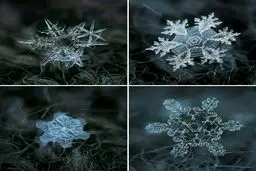 تصویر دیده نشده و دیدنی از دانه های برف