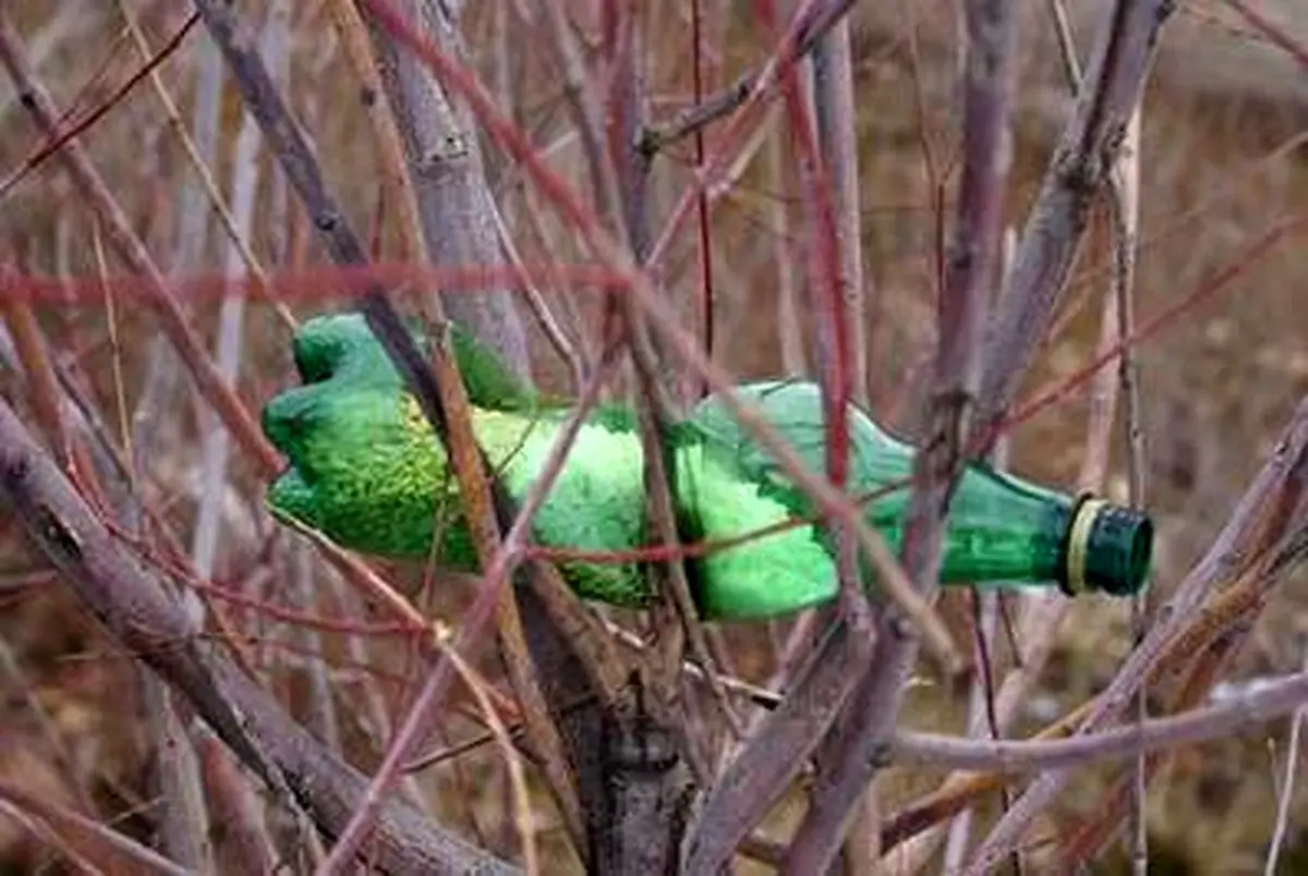 راه حلی ساده برای غذا دادن به پرندگان در فصل زمستان/تصاویر