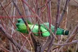 راه حلی ساده برای غذا دادن به پرندگان در فصل زمستان/تصاویر