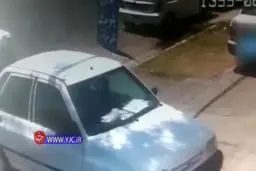 ابتكار در سرقت سانتافه! + ويدئو