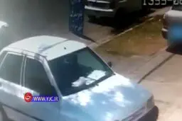 ابتكار در سرقت سانتافه! + ويدئو