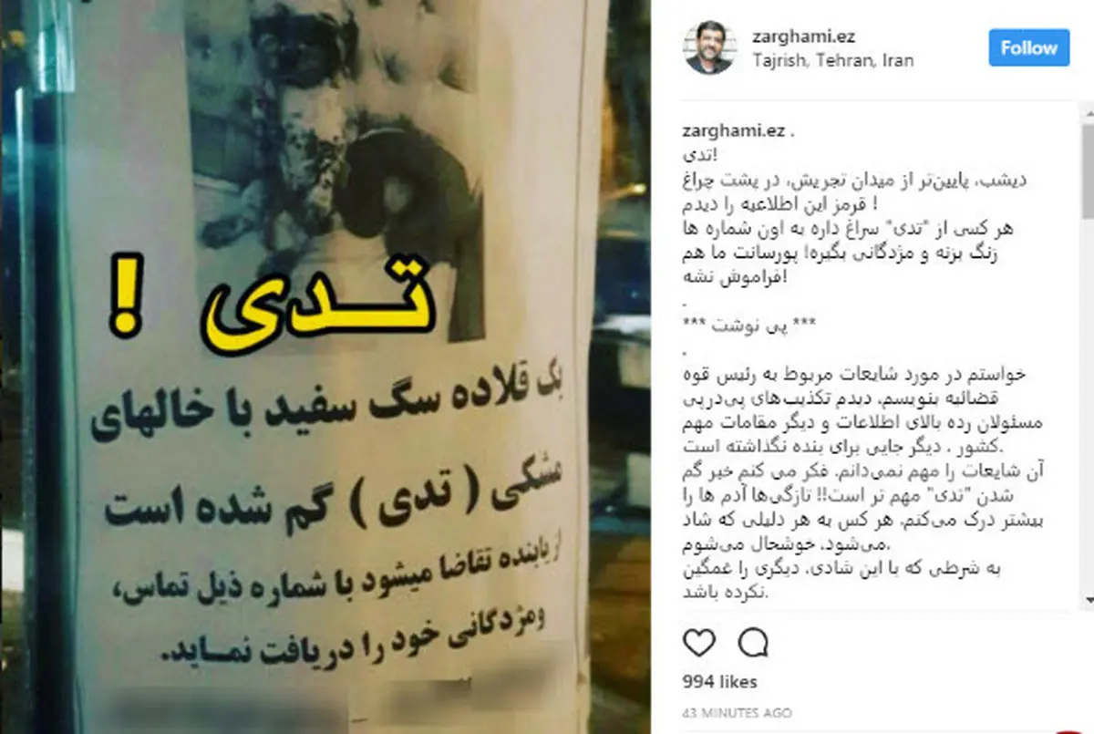 ضرغامی در جستجوی سگ گمشده در تجریش /پیداشدن این سگ برایم از شایعه علیه رئیس قوه قضاییه مهمتر است!