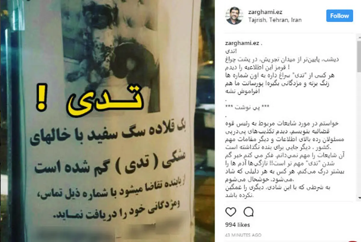 ضرغامی در جستجوی سگ گمشده در تجریش /پیداشدن این سگ برایم از شایعه علیه رئیس قوه قضاییه مهمتر است!