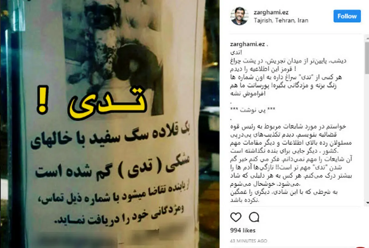 ضرغامی در جستجوی سگ گمشده در تجریش /پیداشدن این سگ برایم از شایعه علیه رئیس قوه قضاییه مهمتر است!