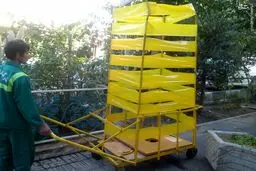 سلاح پیشرفته شهرداری برای مقابله با مگس سفید!/عکس