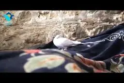 ببینید: ماجرای عجیب زنی که هفت سال است با دختر بچه اَش در بیابان‌های جنوب تهران زندگی می‌کنند