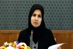 پیش‌شرط‌های تعقیب قضایی ترور شهید فخری‌زاده از زبان معاون رئیس جمهور