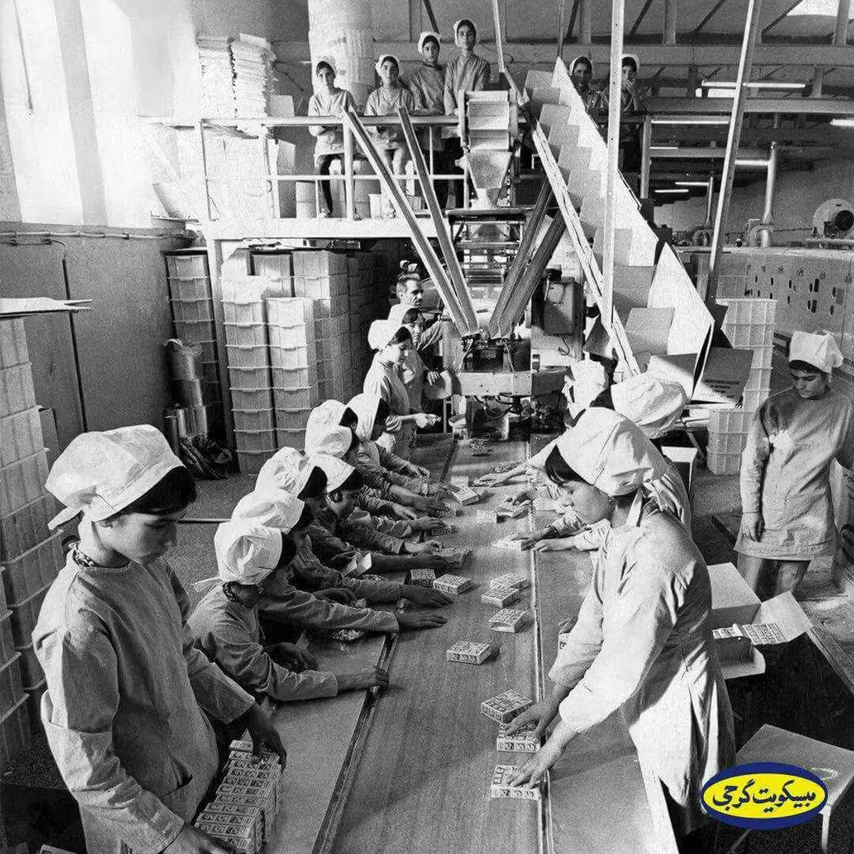 تصویری از خط بسته بندی بیسکویت گرجی در سال 1353