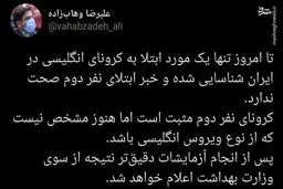 ابتلا دومین نفر به کرونای انگلیسی در ایران صحت دارد؟
