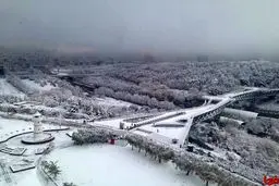 دیدن این عکس زیبا را از دست ندهید!