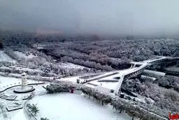 دیدن این عکس زیبا را از دست ندهید!