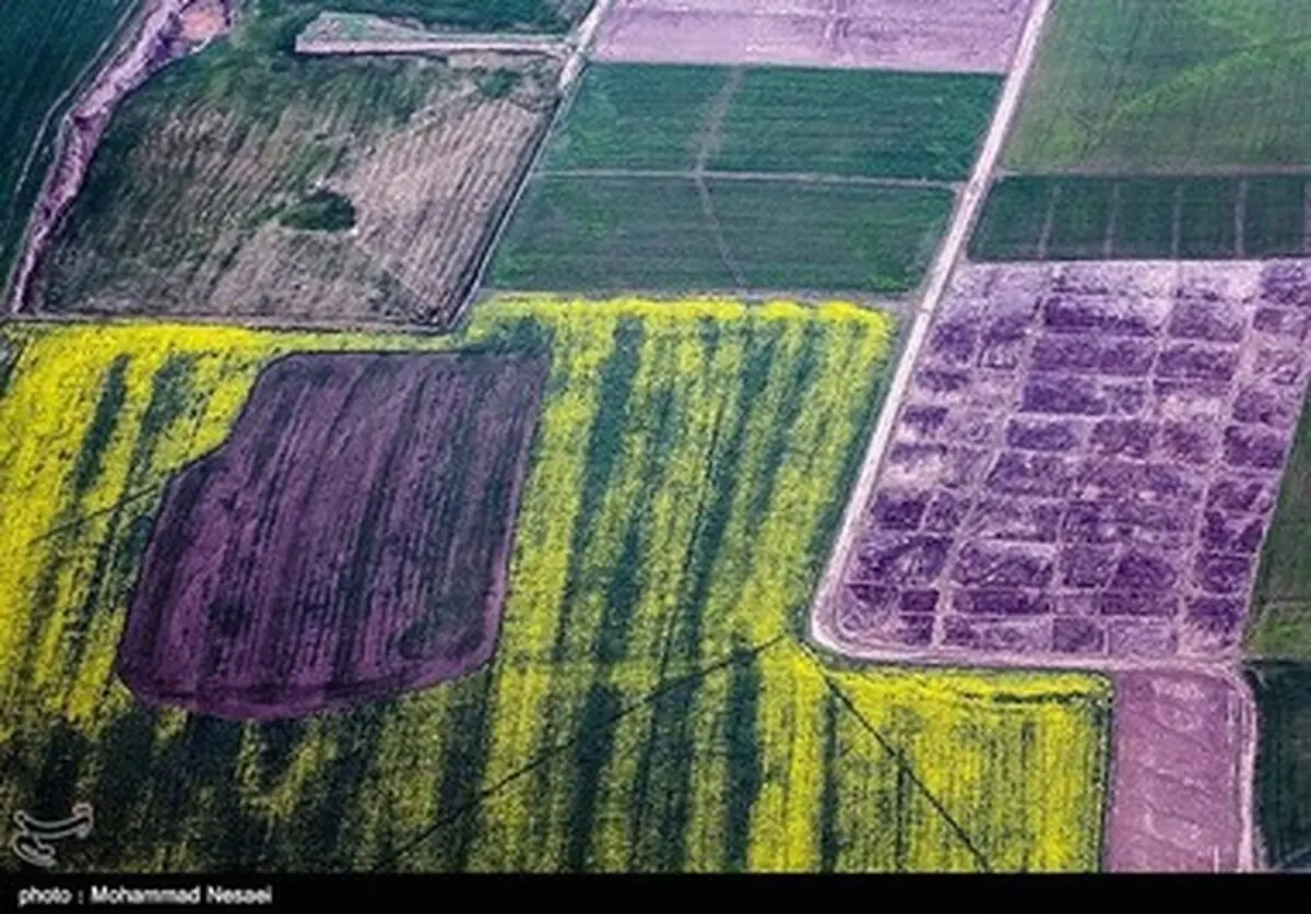 زیبایی های بهاری گرگان در قاب تصاویر