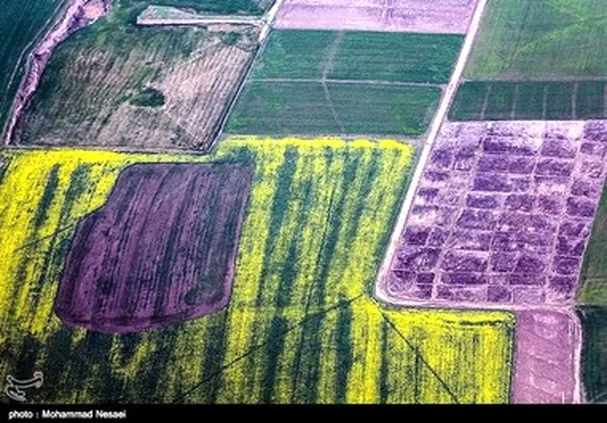 زیبایی های بهاری گرگان در قاب تصاویر