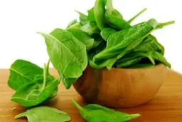 تاثیر فوق العاده «اسفناج » در پیشگیری از ابتلا به سرطان