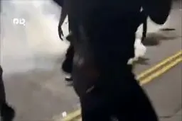 ببینید: سوژه شدن پلیس آمریکا