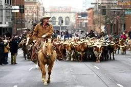 رژه سالانه عجیب!/عکس