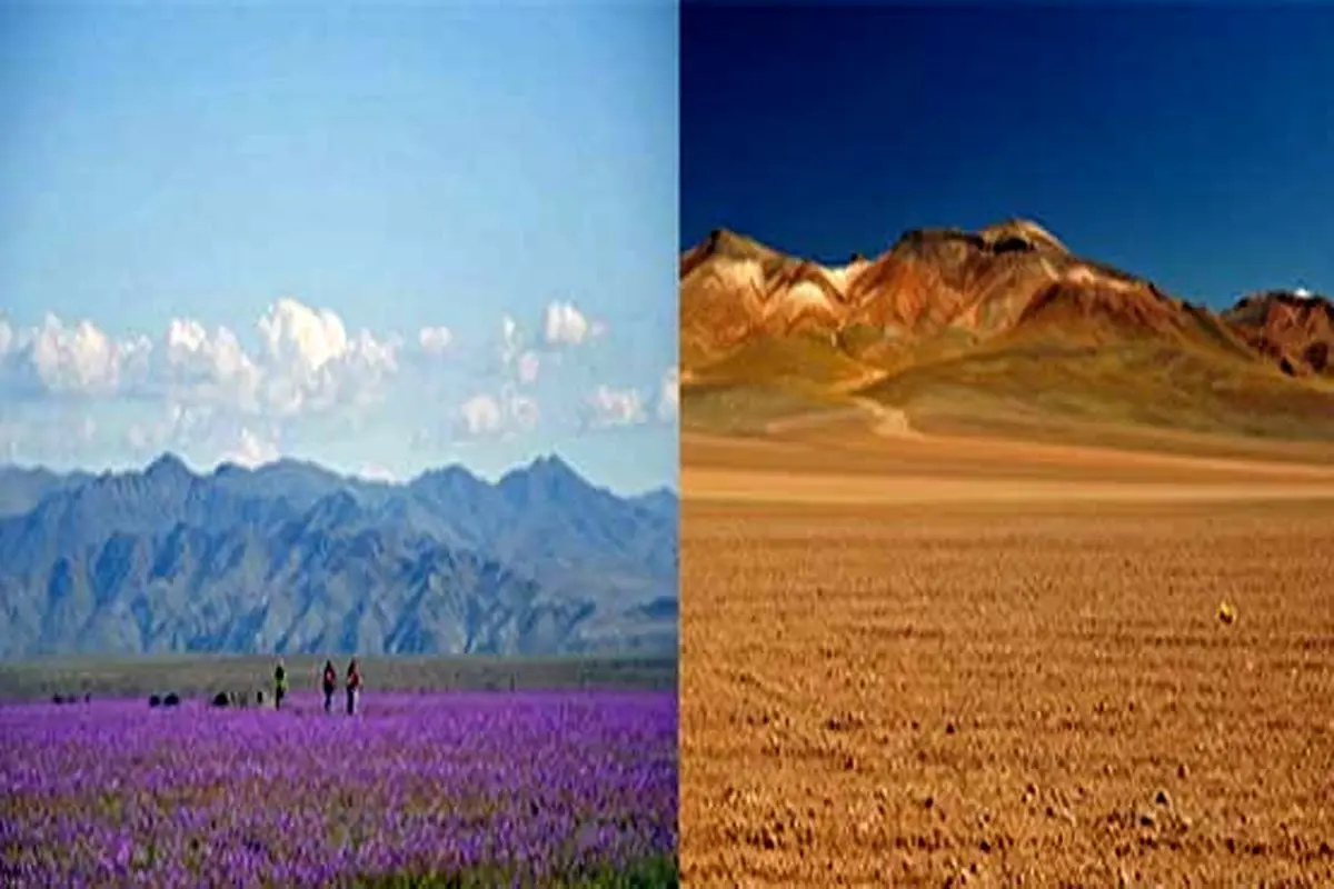 معجزه ال نینو در خشک ترین نقطه جهان+عکس