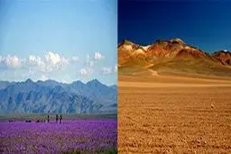 معجزه ال نینو در خشک ترین نقطه جهان+عکس