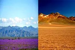 معجزه ال نینو در خشک ترین نقطه جهان+عکس