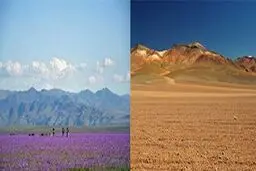 معجزه ال نینو در خشک ترین نقطه جهان+عکس