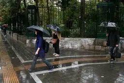 ادامه بارش باران پاییزی در تهران / تصاویر