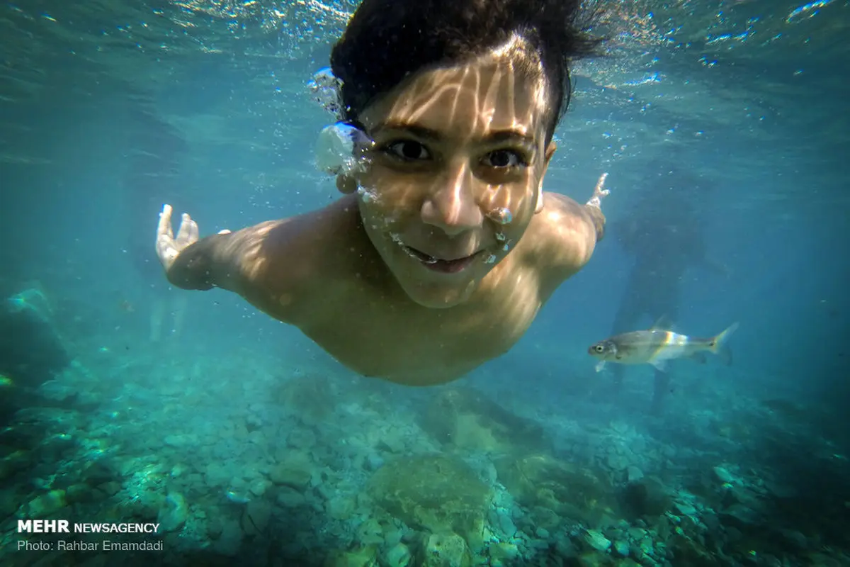آبتنی در کنار ماهی‌های هرمزگان/تصاویر