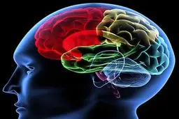 چگونه مغز خود را قدرتمند كنيم؟