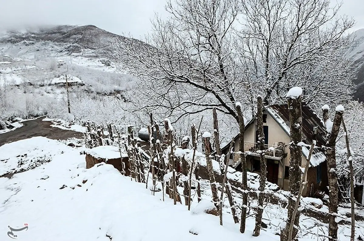 روایت تصویری از طبیعت برفی شمال ایران