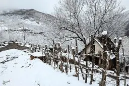 روایت تصویری از طبیعت برفی شمال ایران